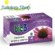 Echinacea. Erkältungen und Grippen Bie3