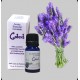 Lavender Essential Oil.