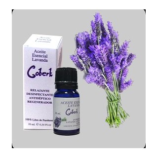 Lavender Essential Oil.