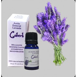 Lavendel ätherisches Öl.