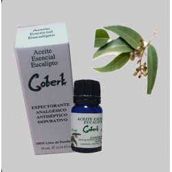 Eukalyptus ätherisches Öl