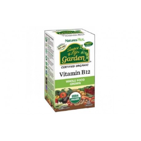 Garden Source Of Life Vitamin B12 60 capsules.
