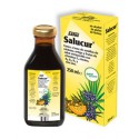 GALLEXIER SYRUP