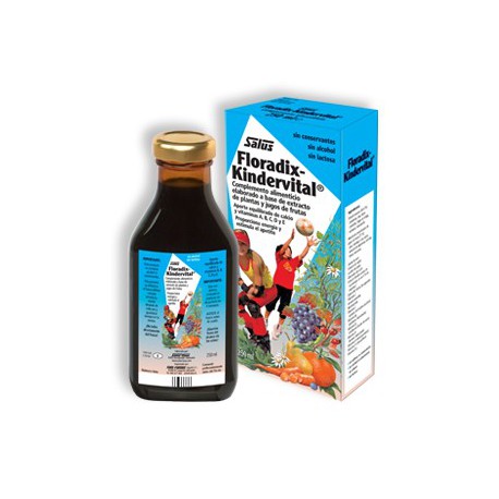 Floradix-Kindervital Syrup